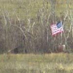 Боевики на Донбассе замаскировались под американским флагом: появилось видео