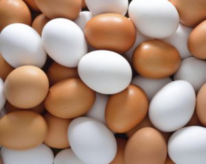 Почему коричневые куриные яйца дороже белых: в чем их разница